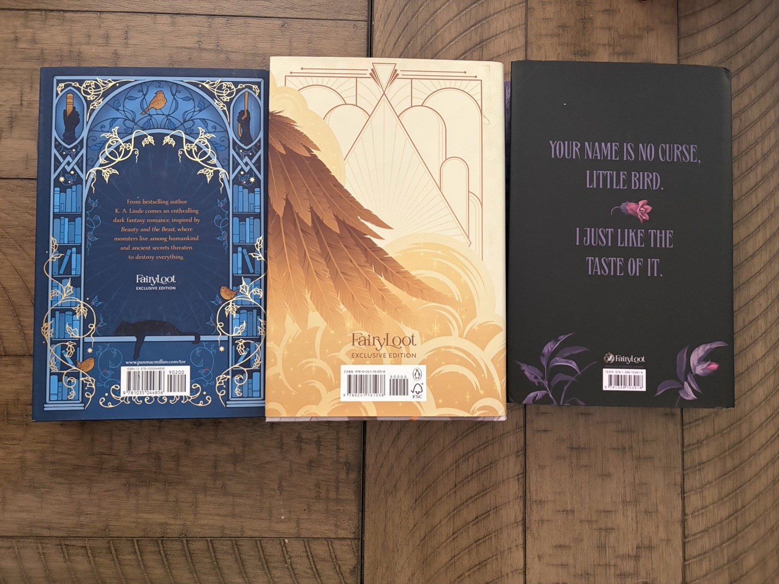 Fairyloot Wren In The Holly Library Wind Weaver Belladonna read description