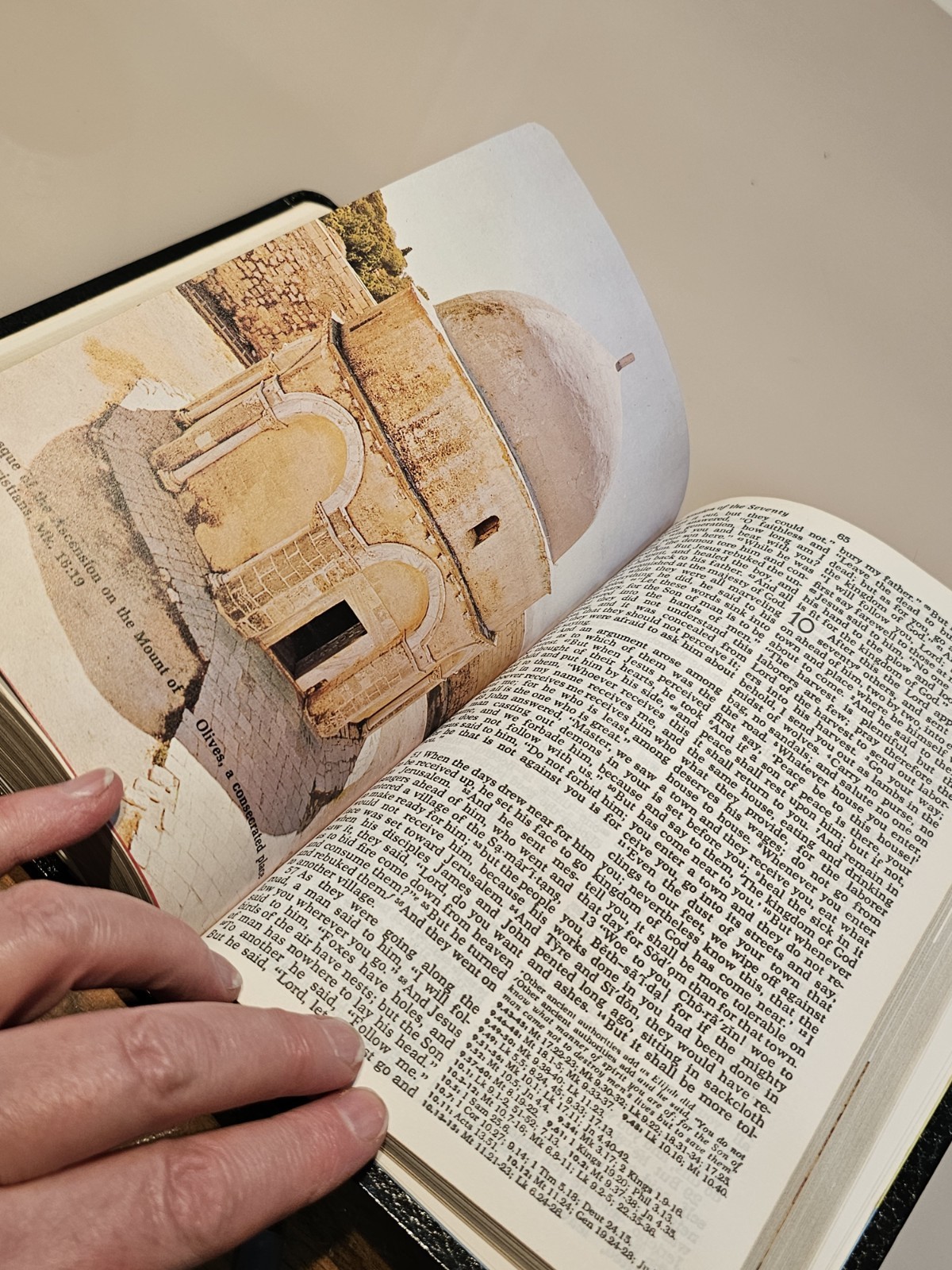Bible