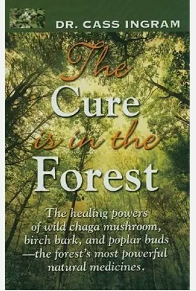 The Cure is in the Forest – Paperback By Dr Cass Ingram – NEW!