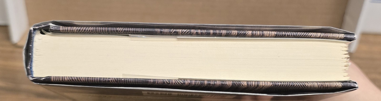 Hiddensee Gregory Maguire First Edition