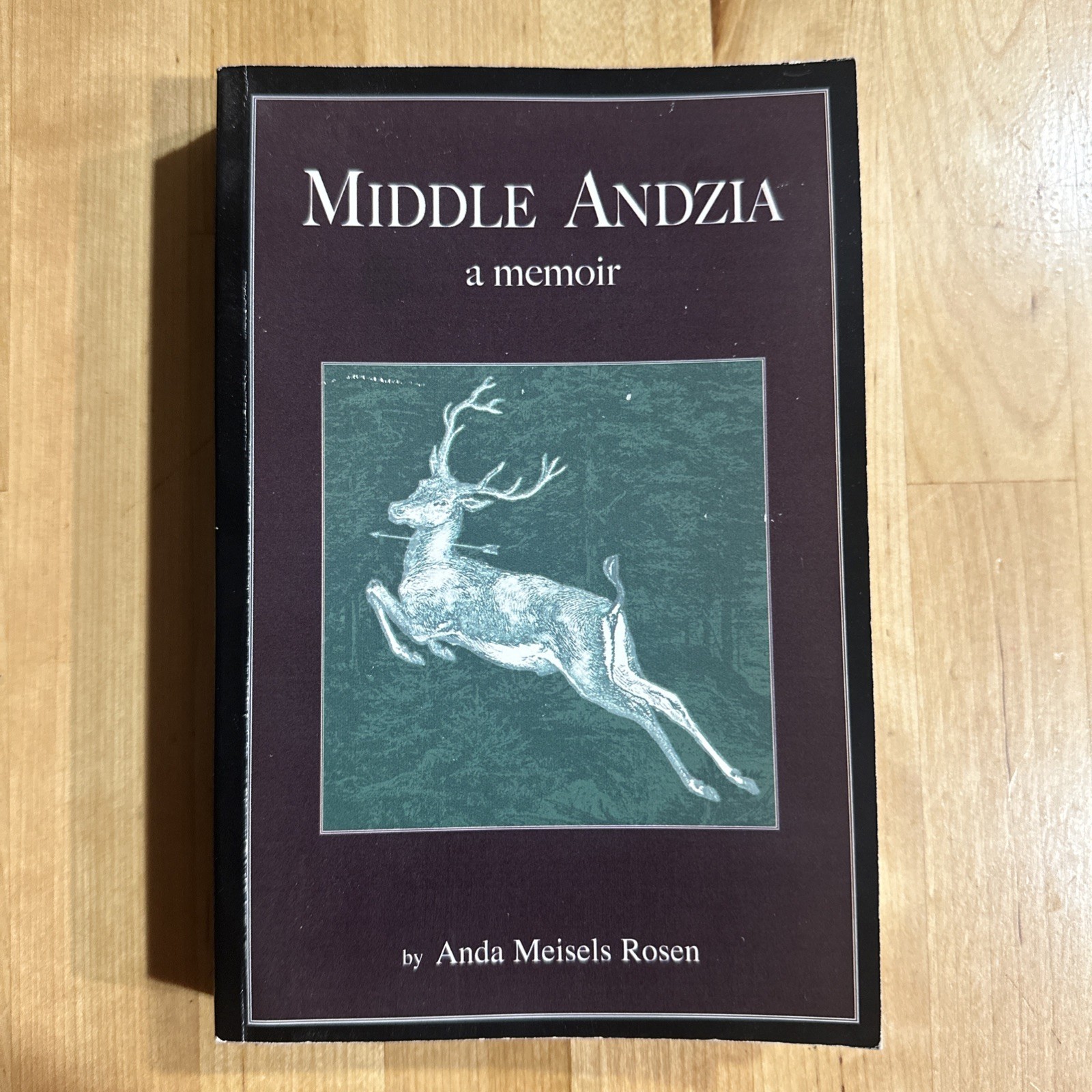 Middle Andzia – A Memoir by Anda Meisels Rosen 2006, Trade PB WWII Survival