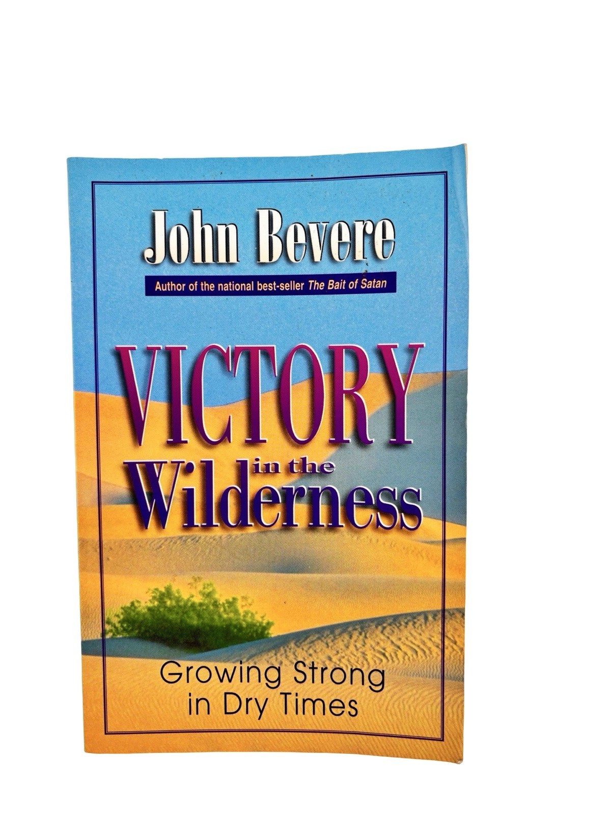 Victory in the Wilderness: Growing Strong in Dry Times by John Bevere Christian
