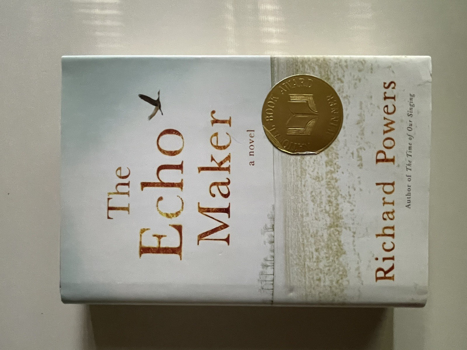 Richard Powers 2 Book Lot Echo Maker (1st 3rd), Playground (1st 1st Print) HC DJ