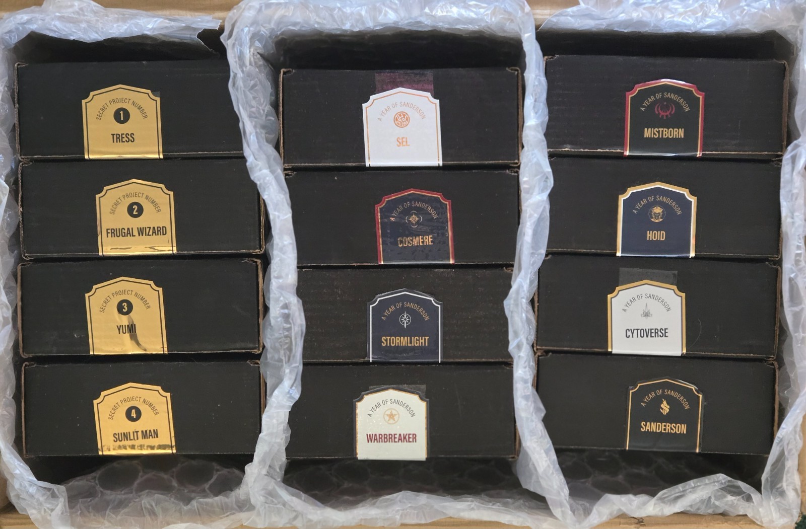 A Year of Sanderson Complete Set: 8 Swag boxes + Secret Projects 1-4 NEW SEALED!