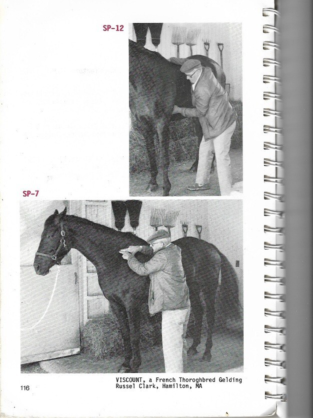 BEATING MUSCLE INJURIES FOR HORSES By Jack Meagher. Rare book.