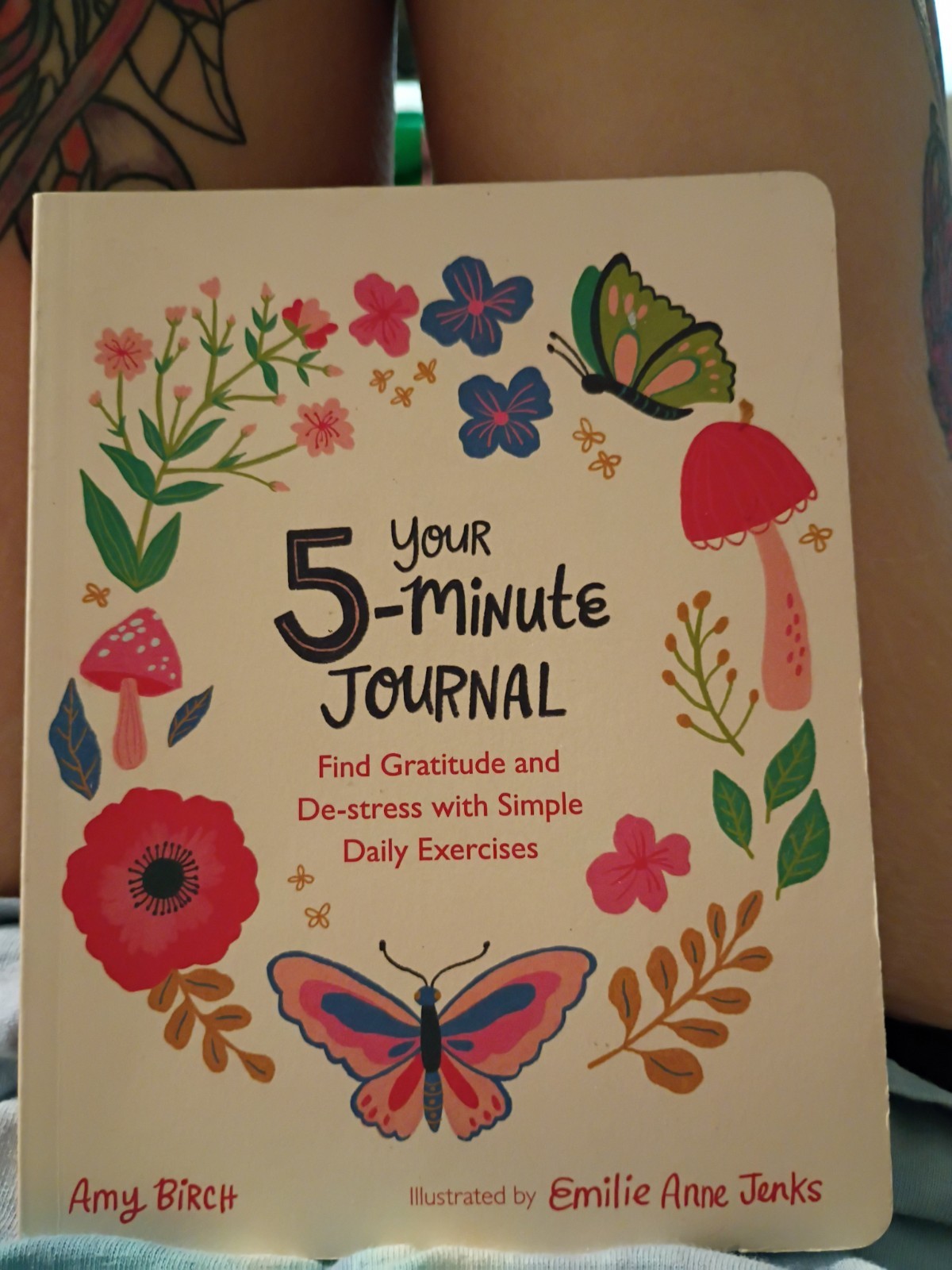 Your 5-Minute Journal Amy Birch 2022 Illustrated Gratitude Self-Help Michael