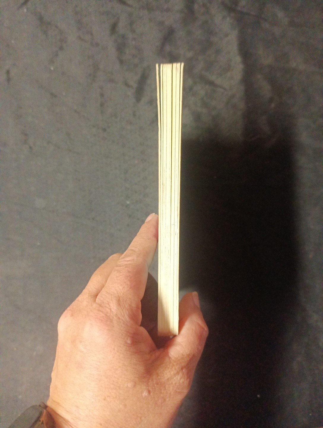 Everything Goes: What Flies in the Air? by Brian Biggs (2013, Children’s…
