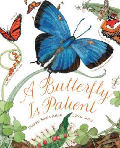 A Butterfly Is Patient – Paperback By Aston, Dianna – VERY GOOD