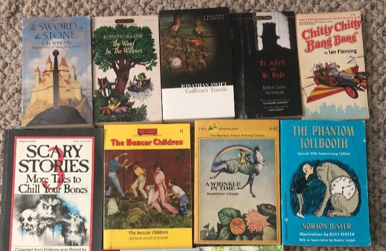 12 Children’s Kid’s Classic Books Lot: Scary, Snicket, Boxcar, Hatchet, OZ