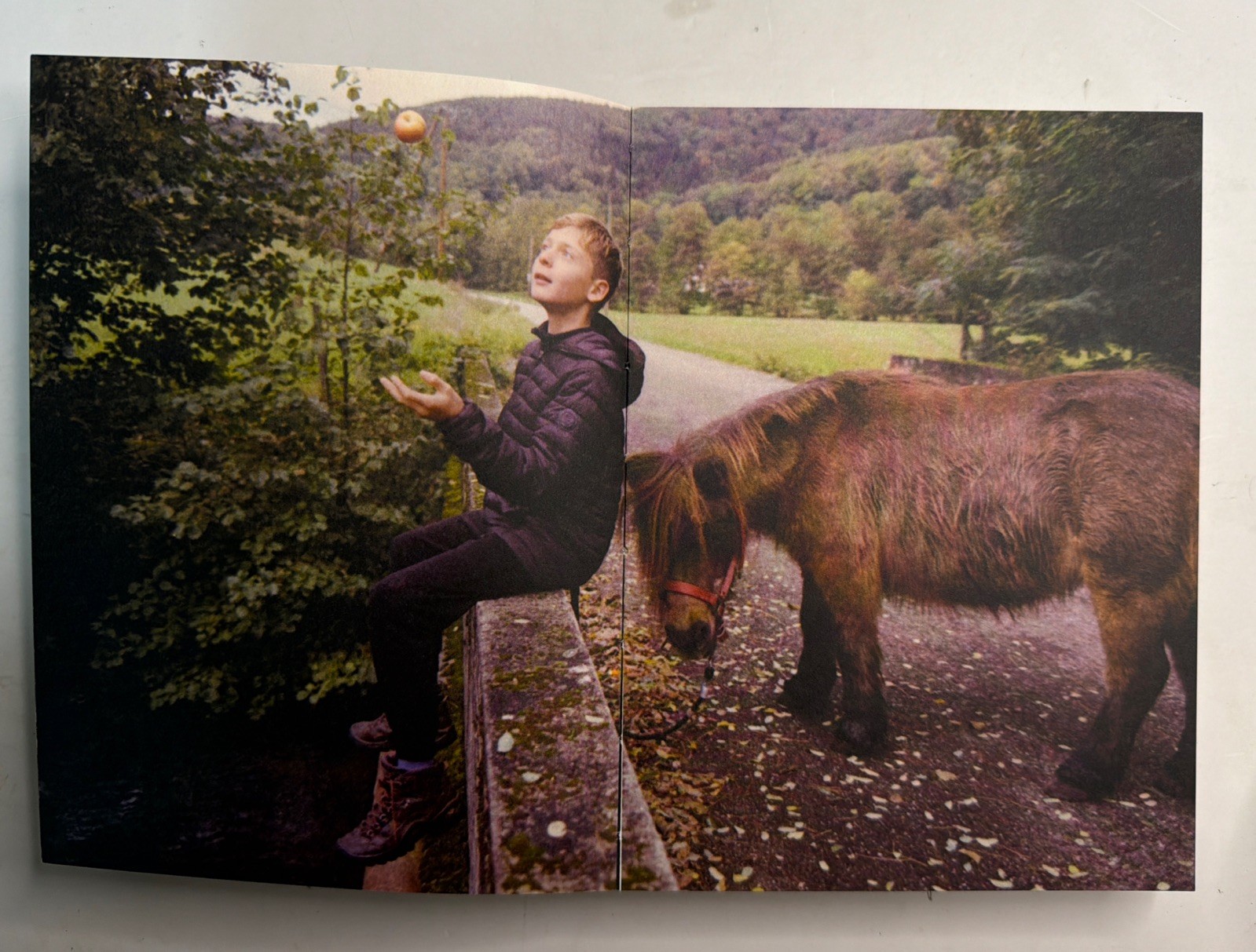 RAUBER by Josh Kern – SIGNED 1st Ed. Photobook w/ Original 35mm Slide & Extras