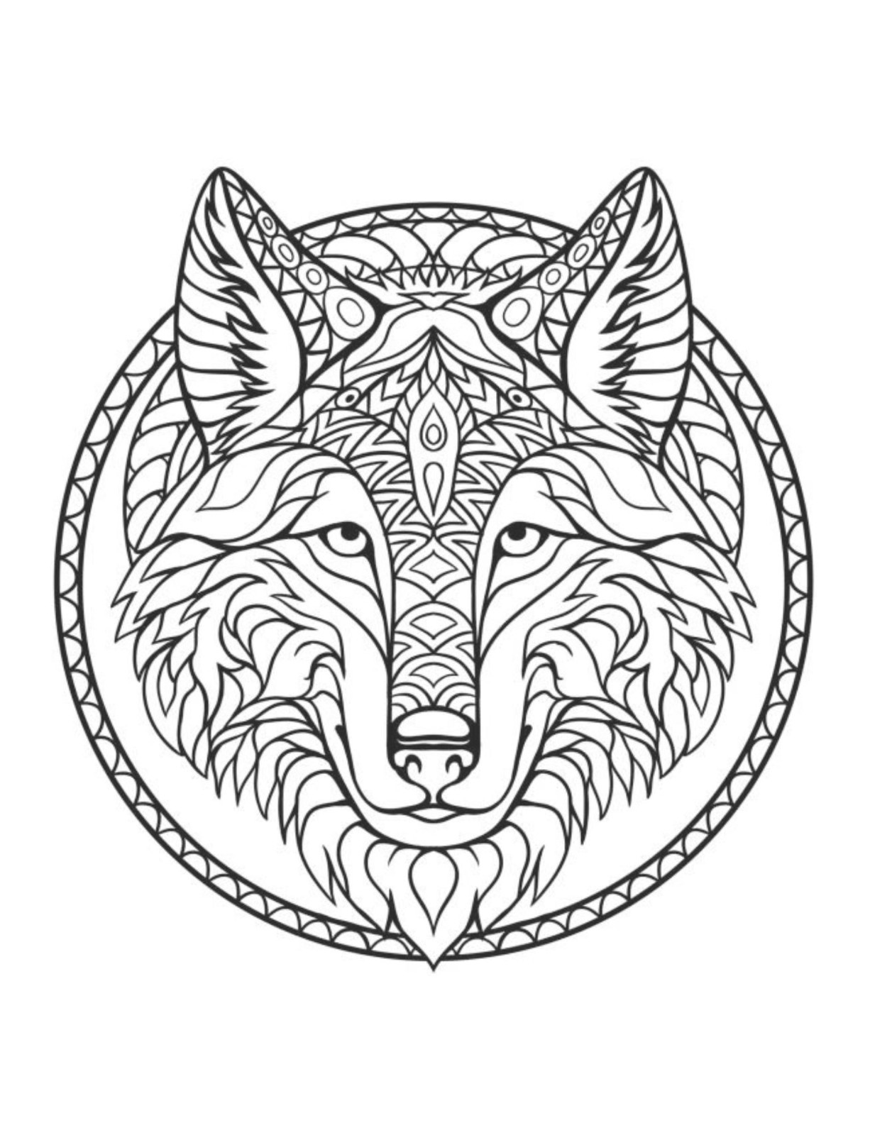 Dogs Coloring Book for Adults and Teens All Ages 108 Pages 8.5 x 11 for All Ages