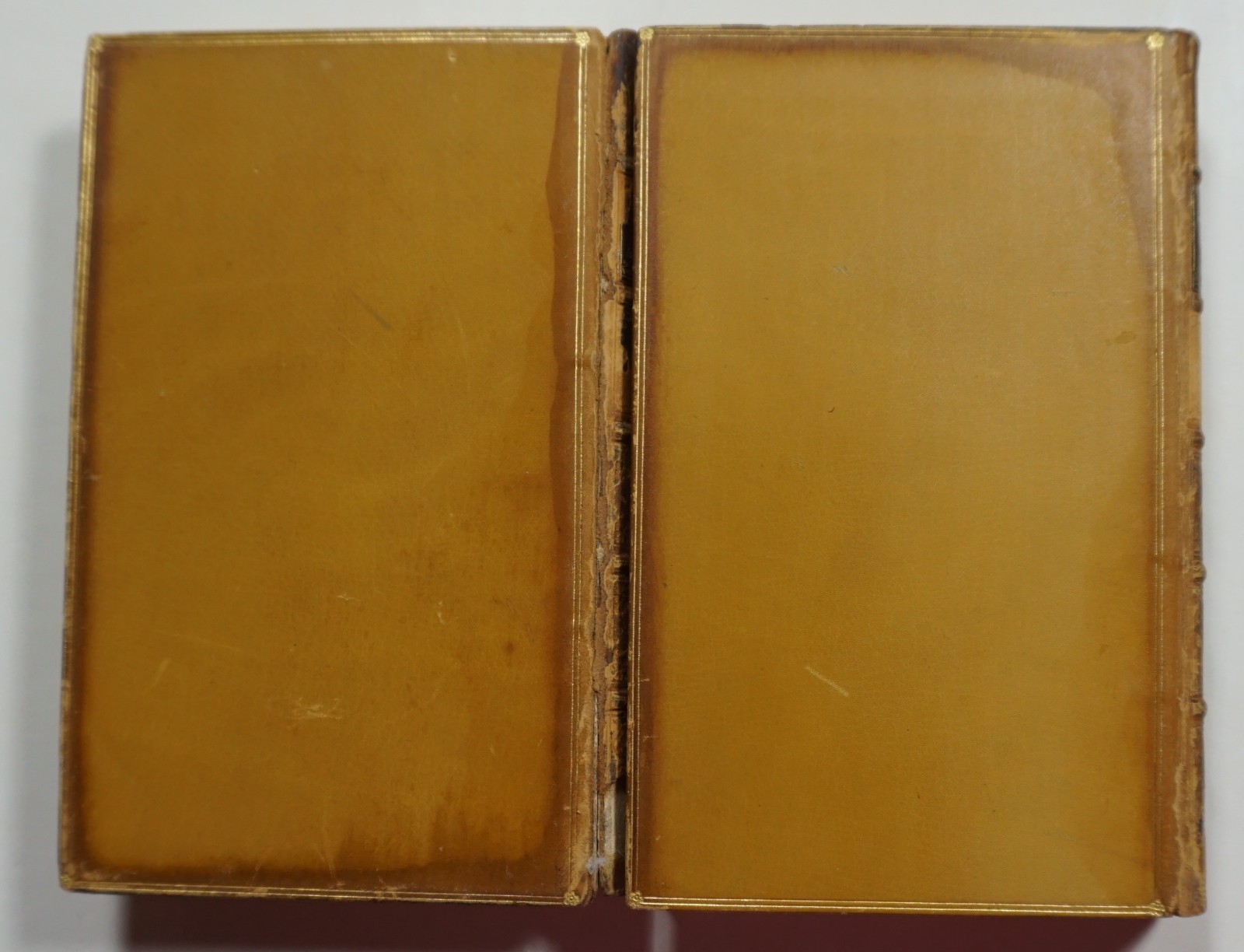 Essays, Letters from Abroad, Translations and Fragments 2 Vols 1852 Shelley
