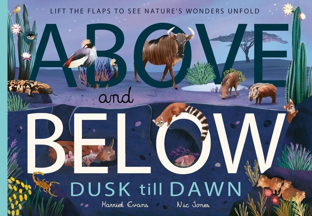 Above and Below: Dusk till Dawn: Lift the flaps to see nature’s wonders unfold b