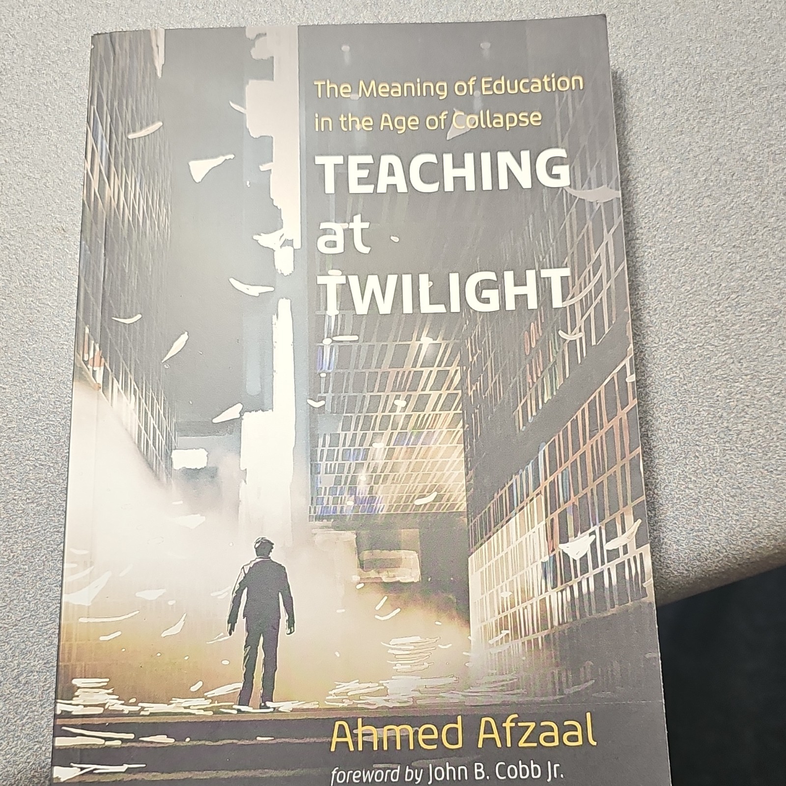 Teaching at Twilight: Meaning of Education in Age of Collapse Afzaal PB 2023