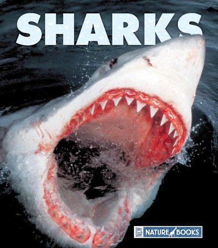 Sharks; New Naturebooks, 1264 – 9781592966493, Gary Lopez, library binding