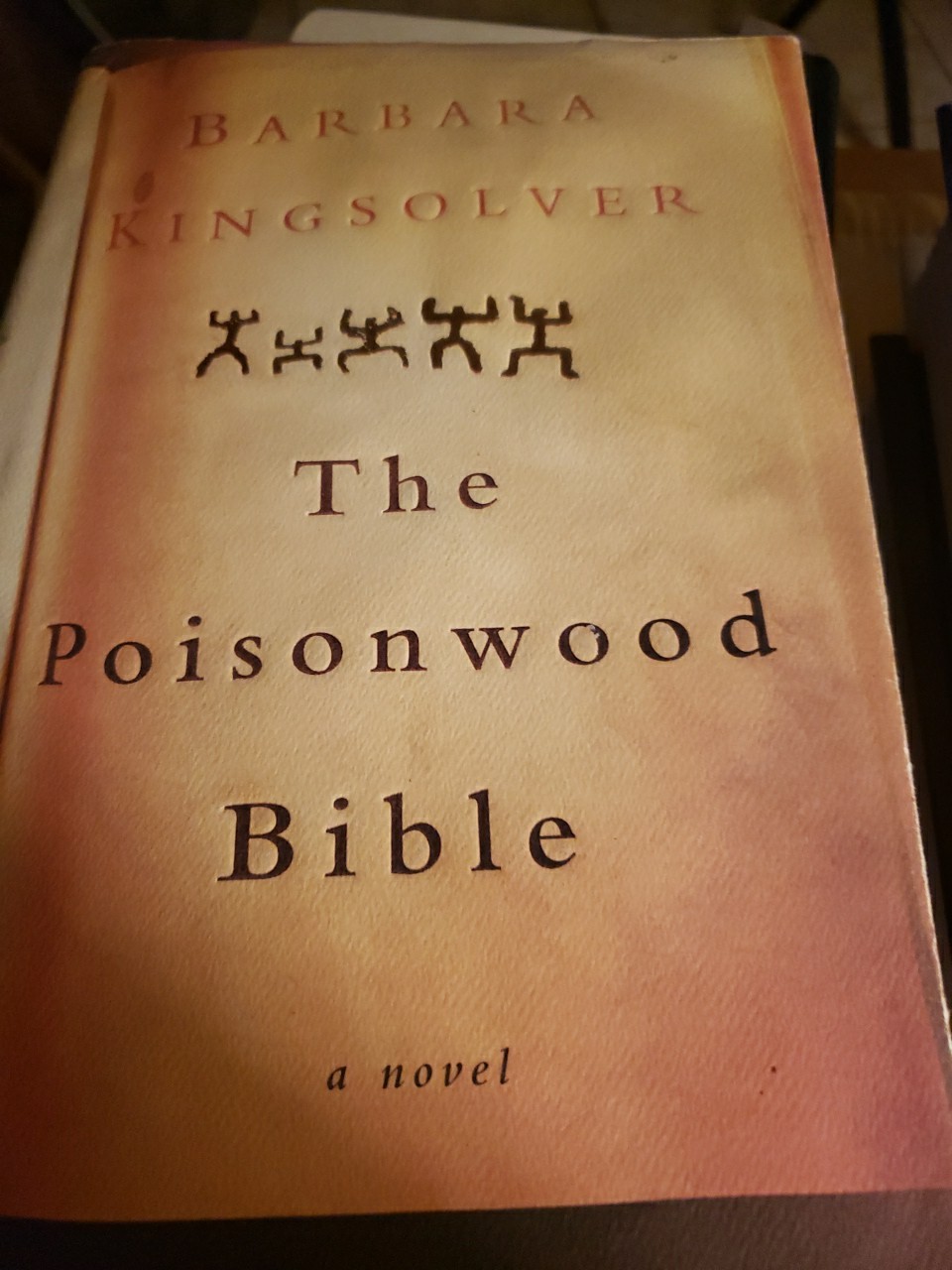 Poisonwood Bible by Barbara Kingsolver ( GB256 )