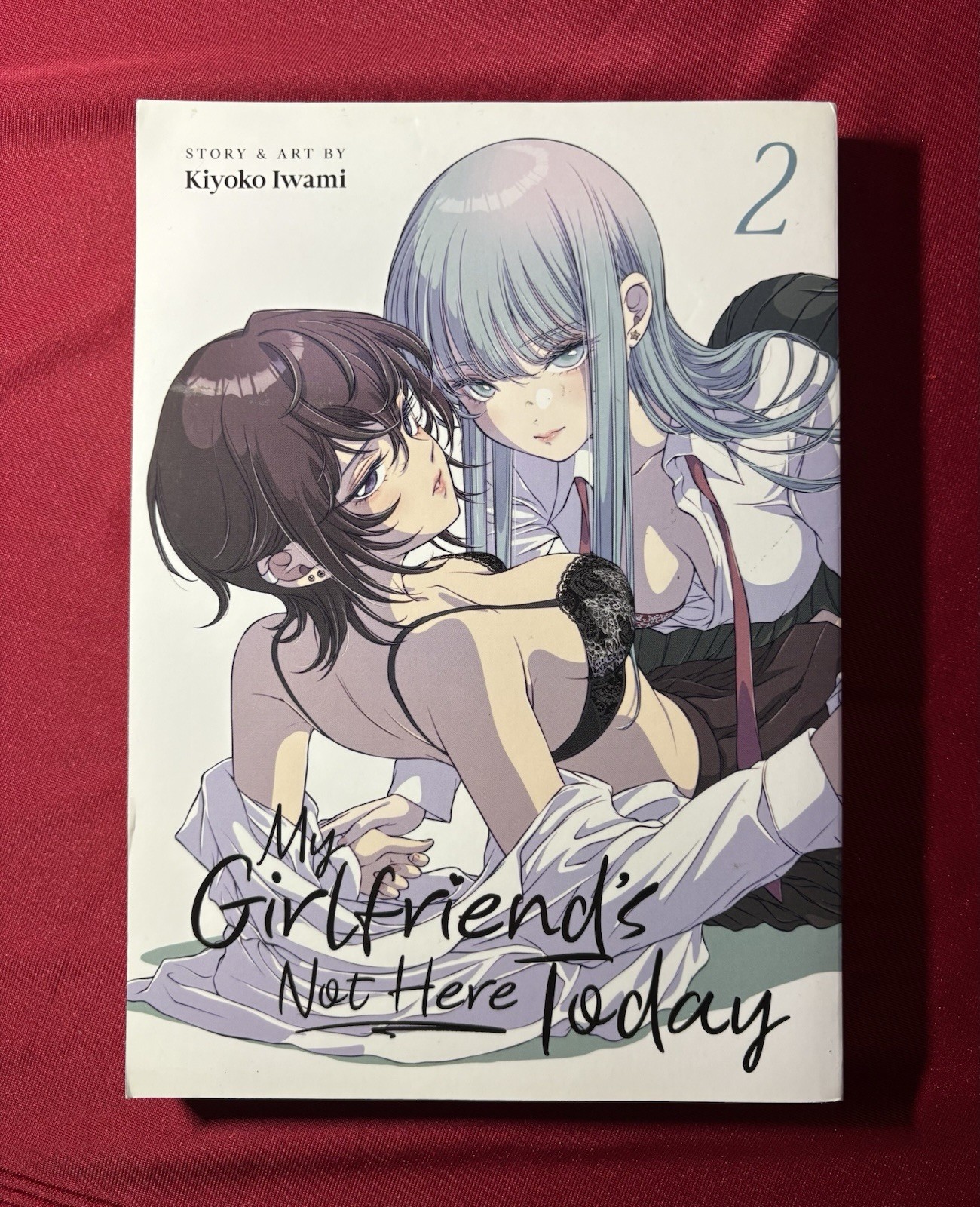 My Girlfriend’s Not Here Today, Vol. 2, by Kiyoko Iwami, Yuri English Manga 2022