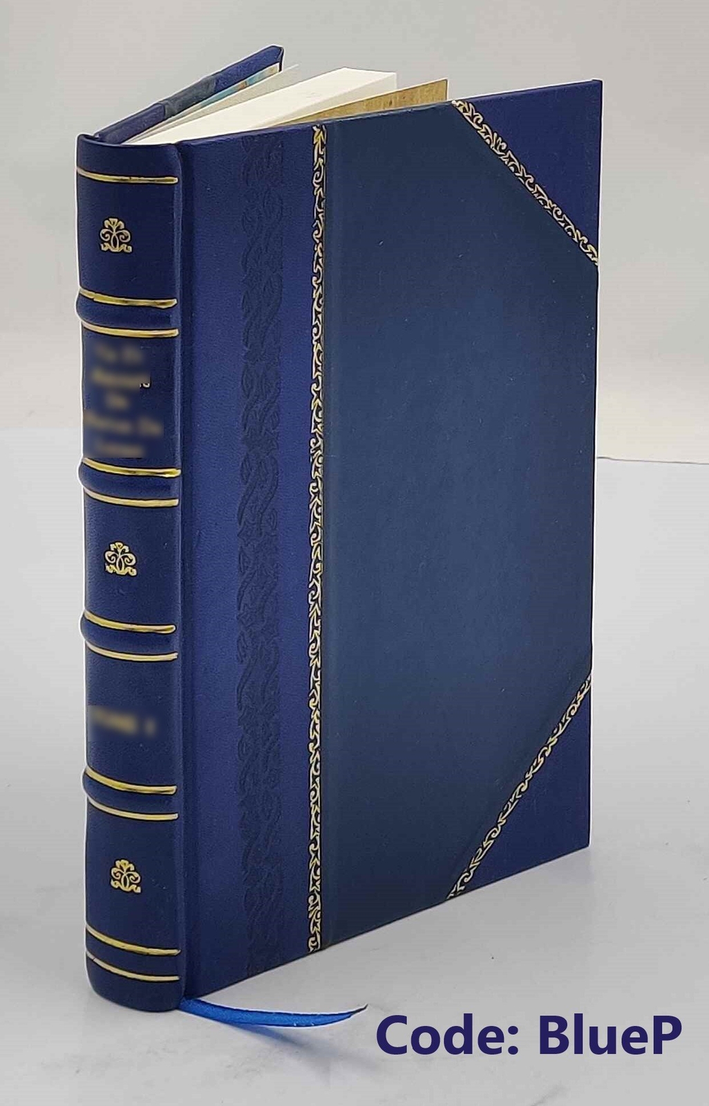 Die intellektuellen Funktionen : Untersuchungen über Grenzfragen [Leather Bound]
