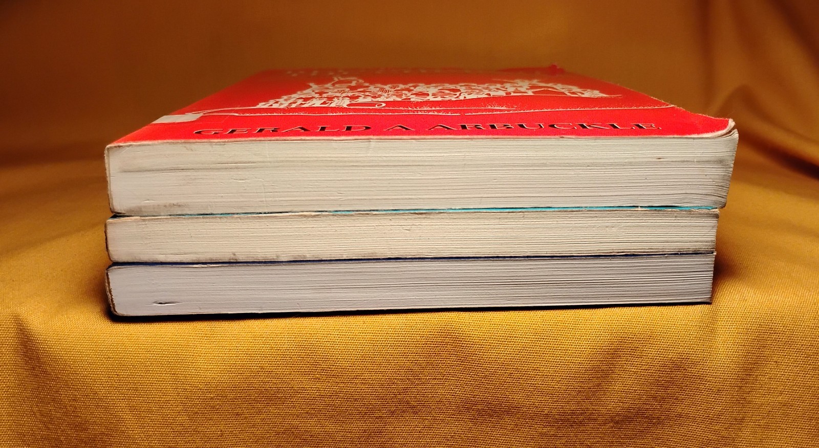 Sic et Non Spiritual Discernment Refounding the Church Religion 3 PB book lot