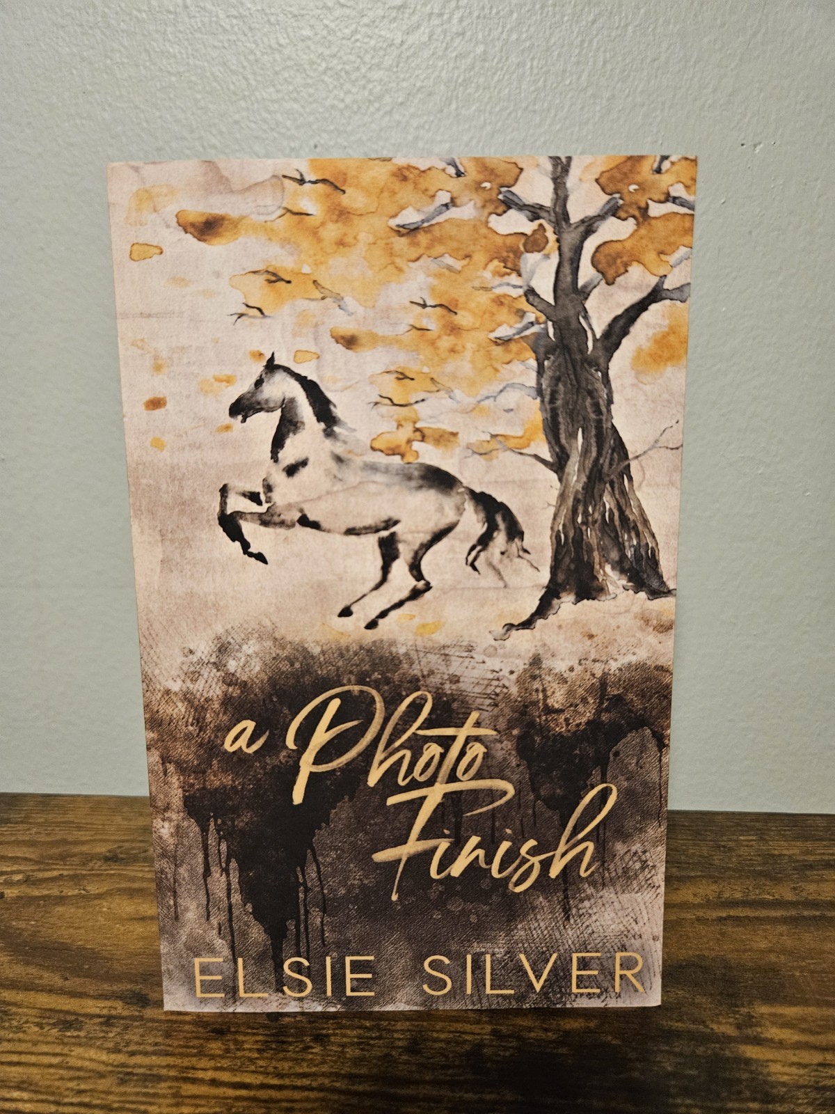 Elsie Silver Gold Rush Ranch: A Photo Finish OOP Indie Out of Print Edition Book