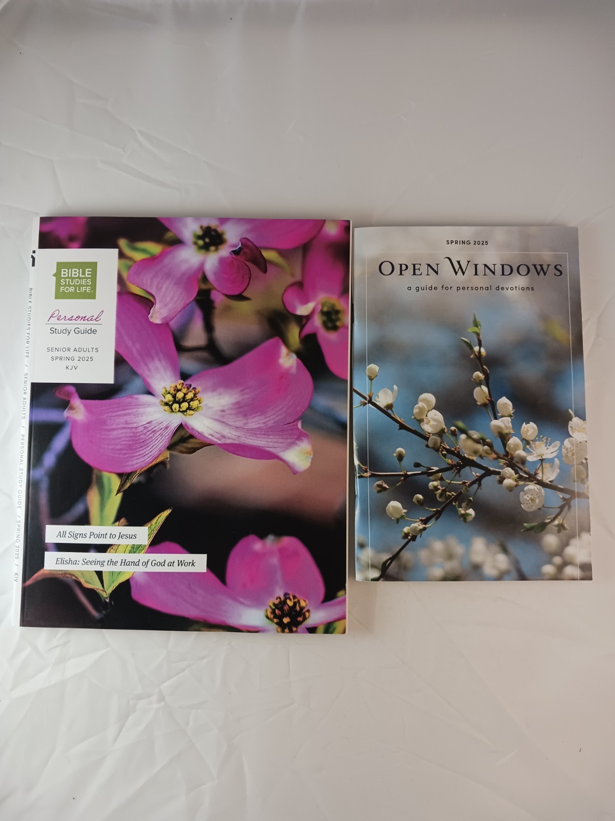 Open Windows Devotions Spring 2025 & Bible Studies For Life Study Guide, 2 Books