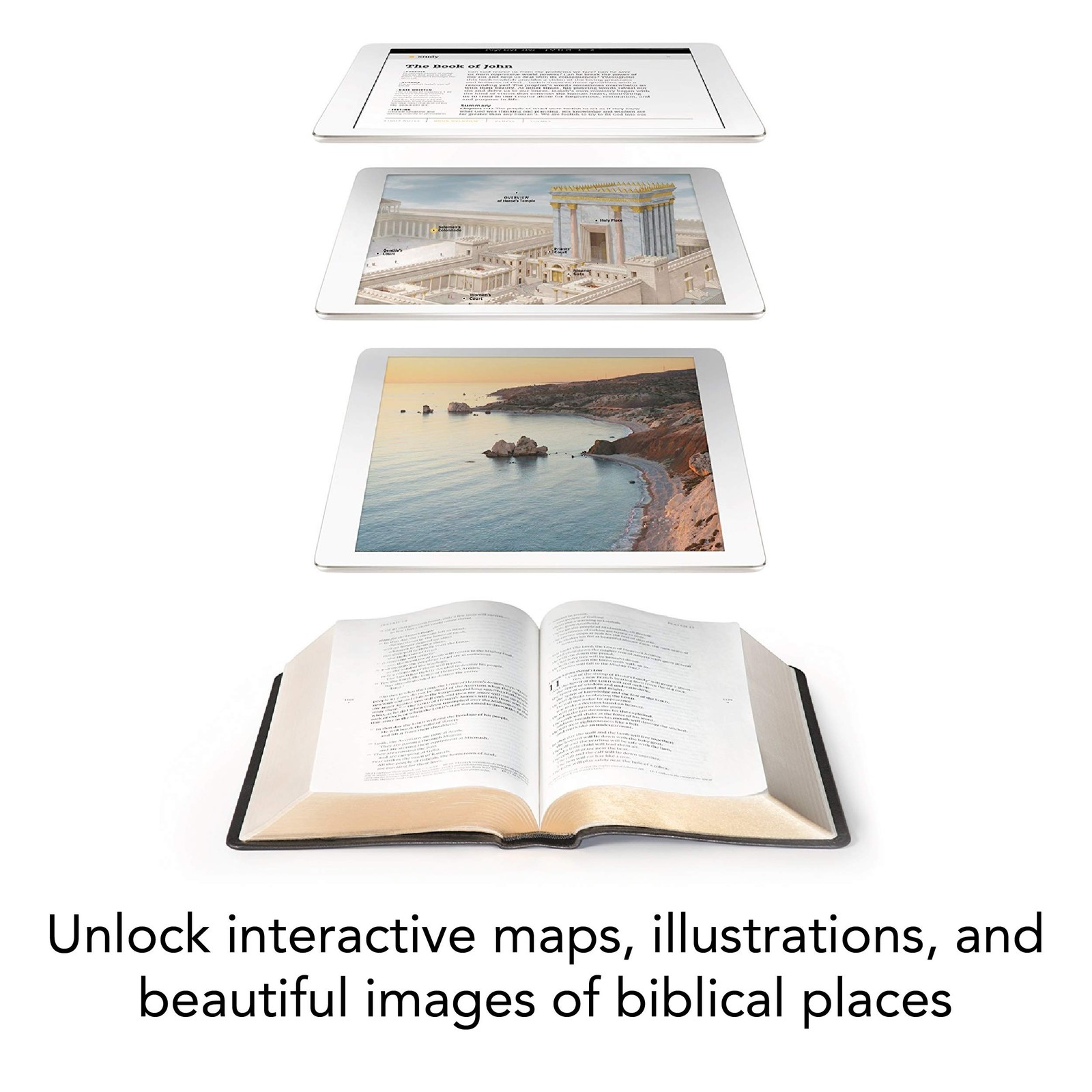 Filament Bible NLT (LeatherLike, Black): The Print+Digital Bible