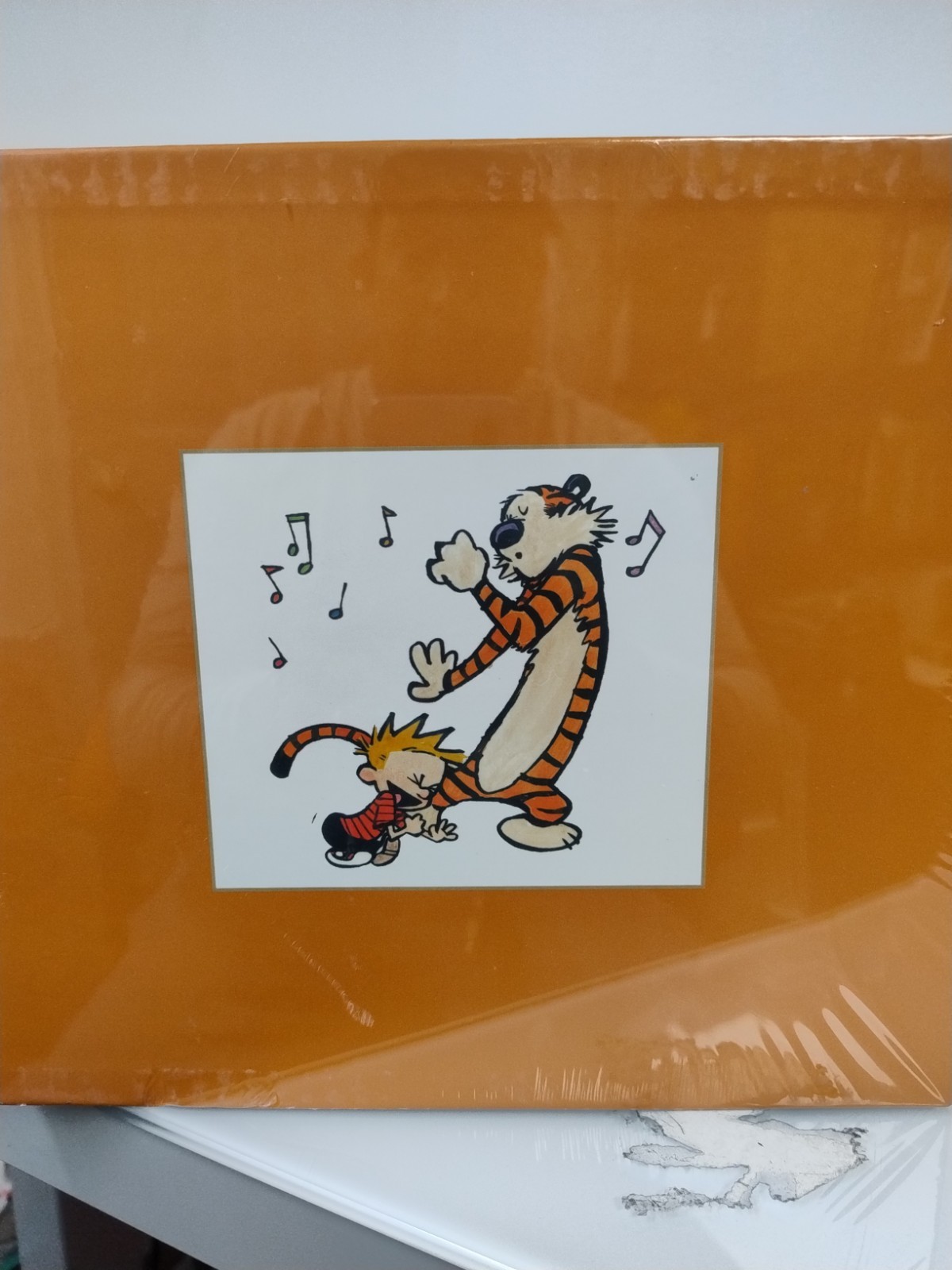 The Complete Calvin and Hobbes By Bill Watterson Paperback – Box set__MNL