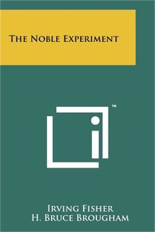 The Noble Experiment (Paperback or Softback)