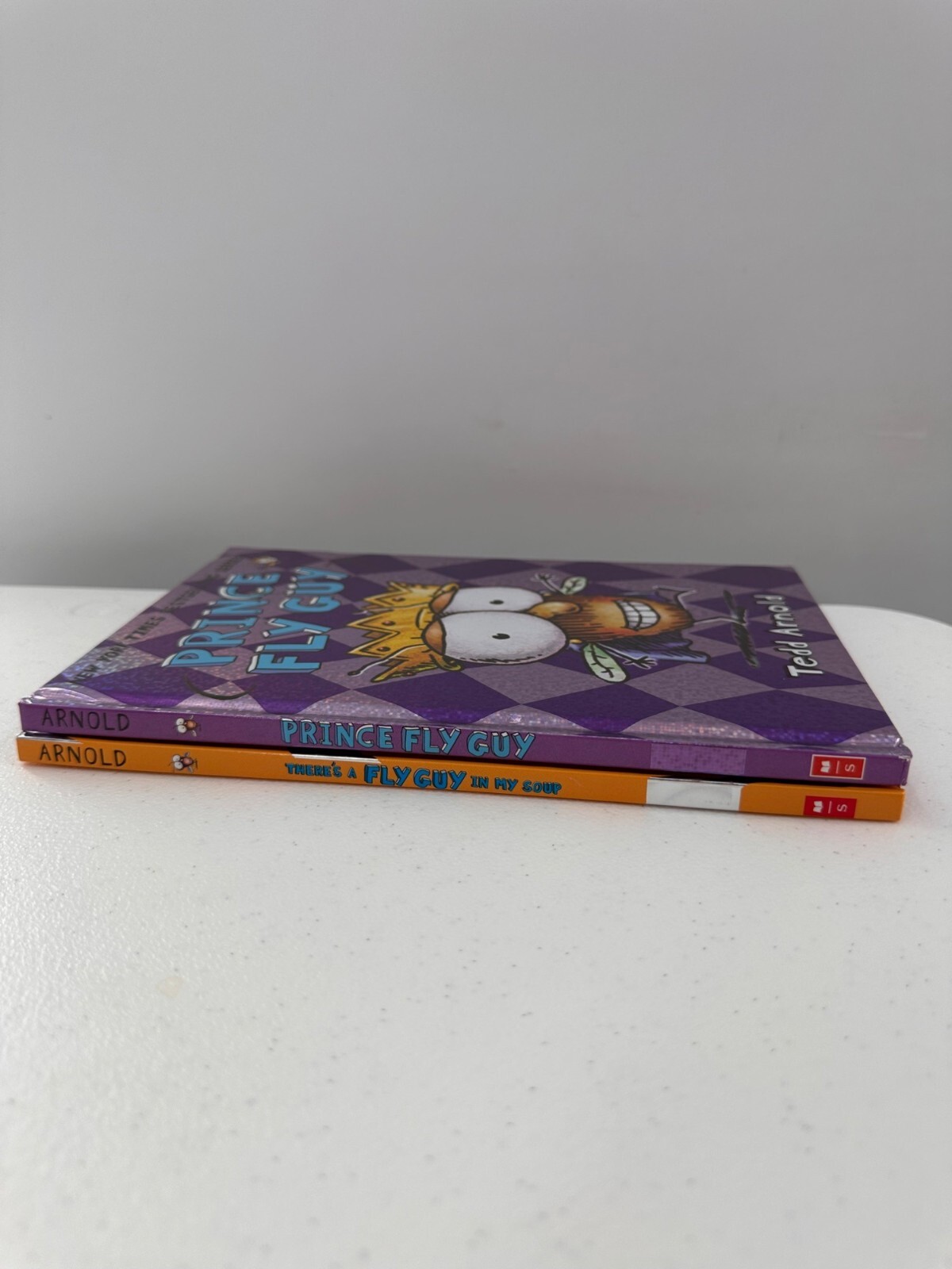 Tedd Arnold Fly Guy Hardcover Books “Prince Fly Guy” & Book bundle Soup