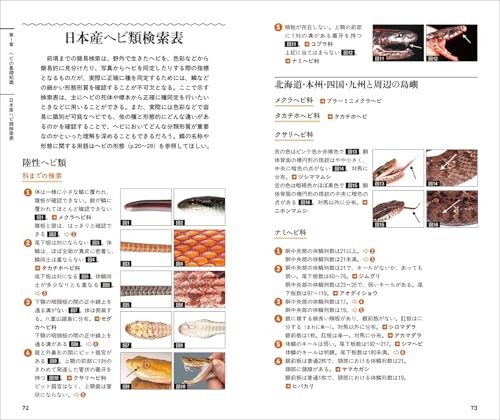 Japanese Snakes: Complete Guide to Japanese Species Beautiful Photos Book F/S