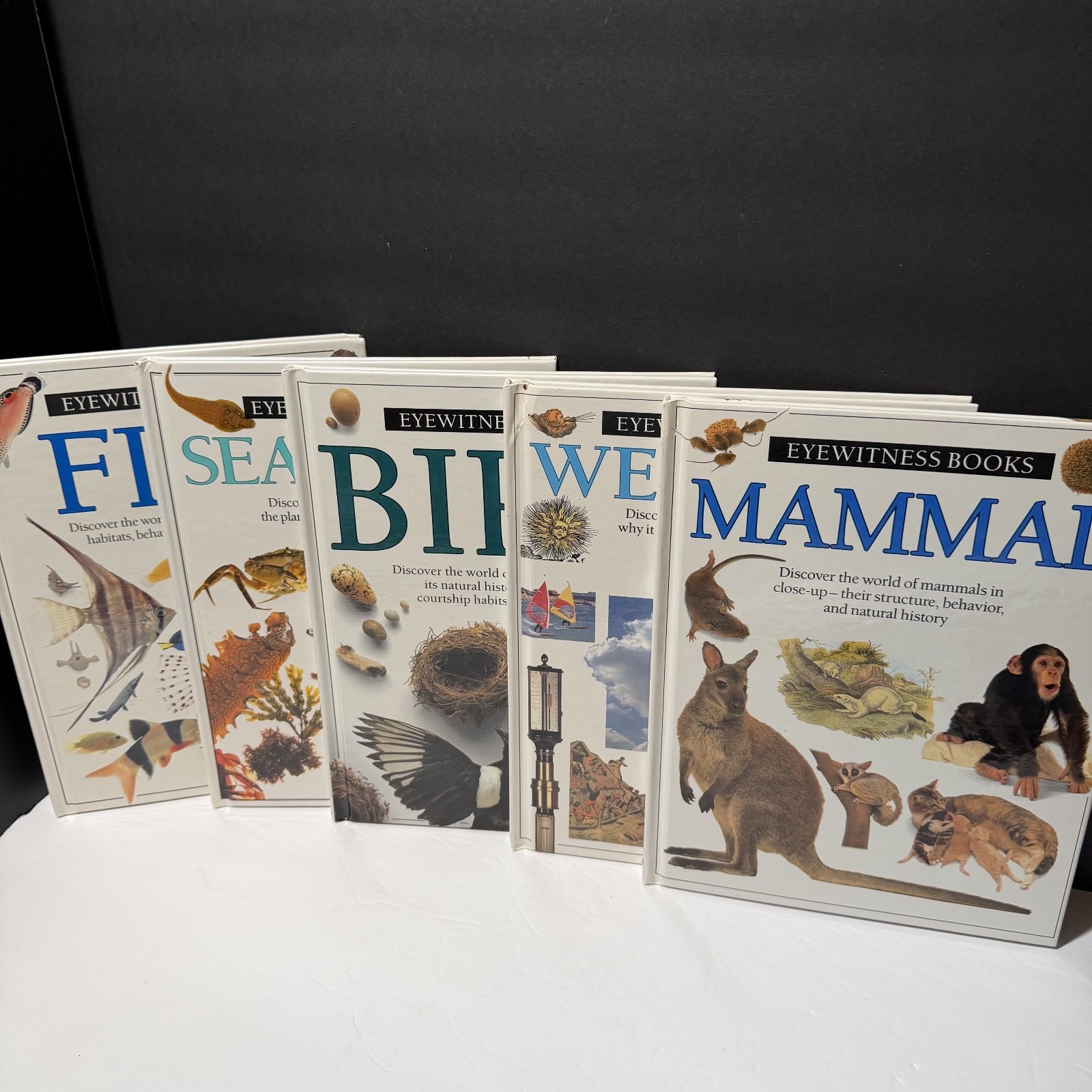Eyewitness Books Lot of 5 – Fish, Seashore, Bird, Weather, Mammal
