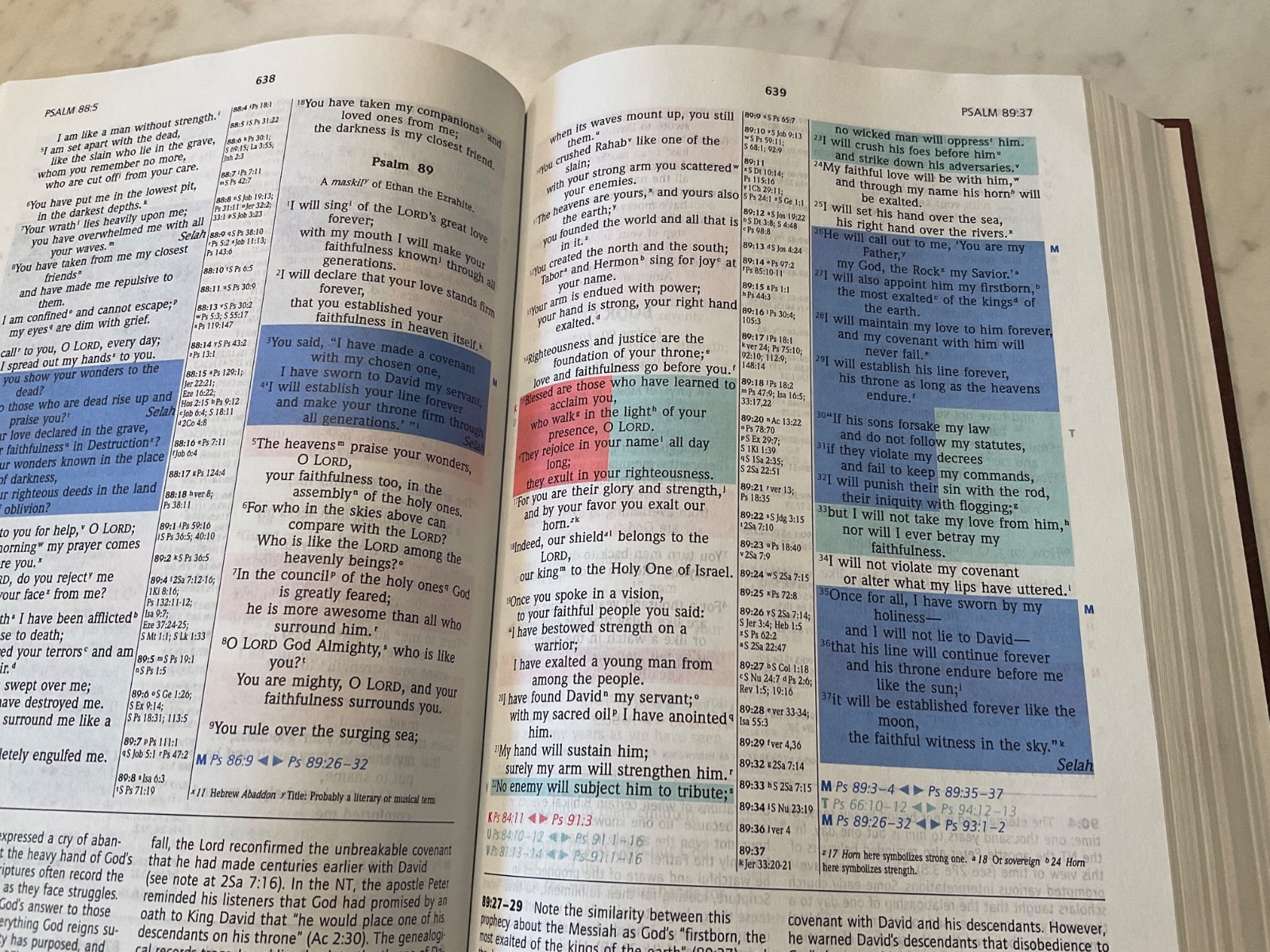 NIV Prophecy Marked Reference Study Bible 1998 Hardcover 1984