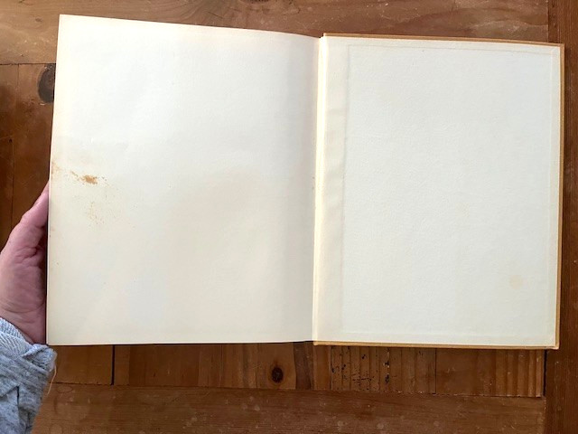 Lost New York by Nathan Silver (1967 First Ed. 3rd Printing) HC/DJ illustrations