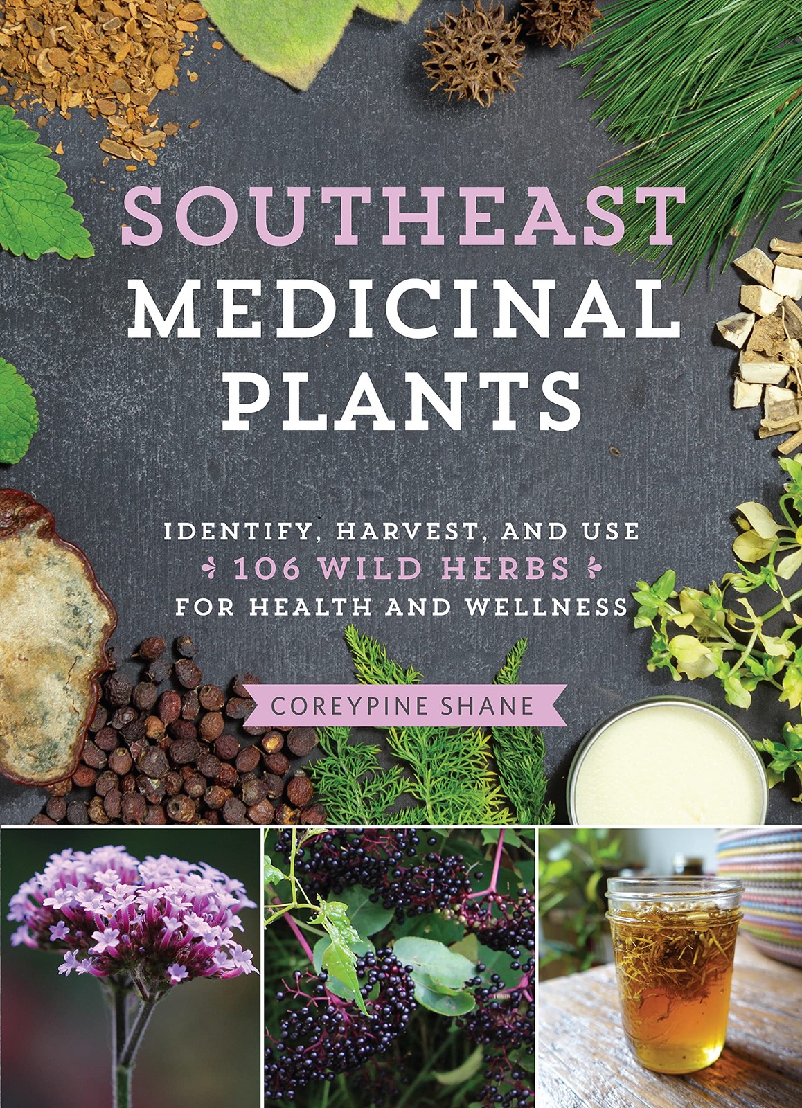 Southeast Medicinal Plants by CoreyPine Shane