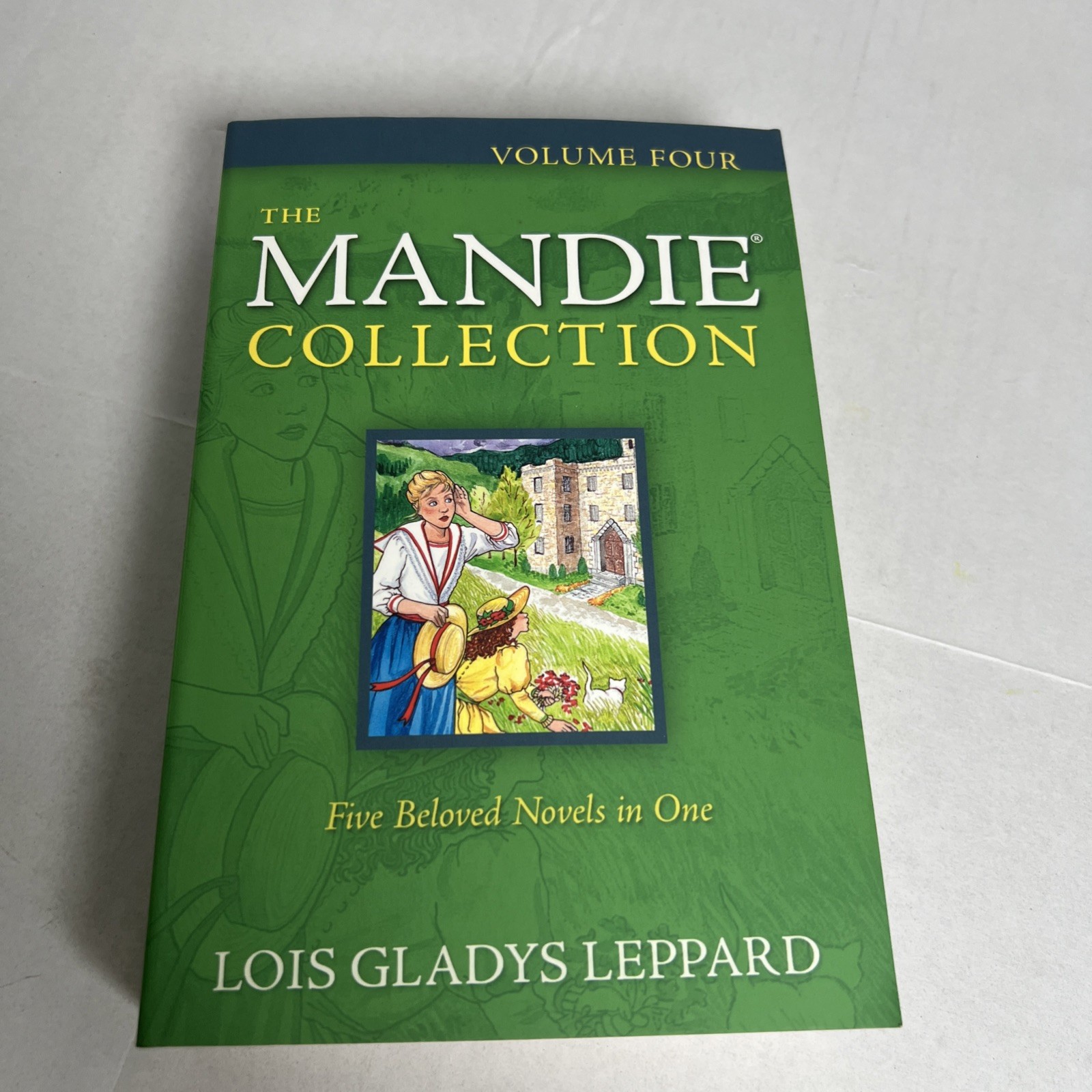 MANDIE COLLECTION COMPLETE BOOK SERIES 1-40 – Lois Gladys Leppard