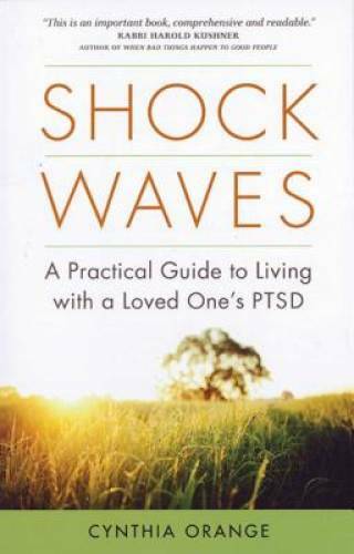 Shock Waves: A Practical Guide to Living with a Loved One’s PTSD – GOOD