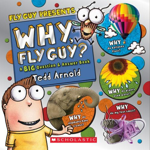 Fly Guy Presents Ser.: Why, Fly Guy? : A BIG Question & Answer Book by Tedd…