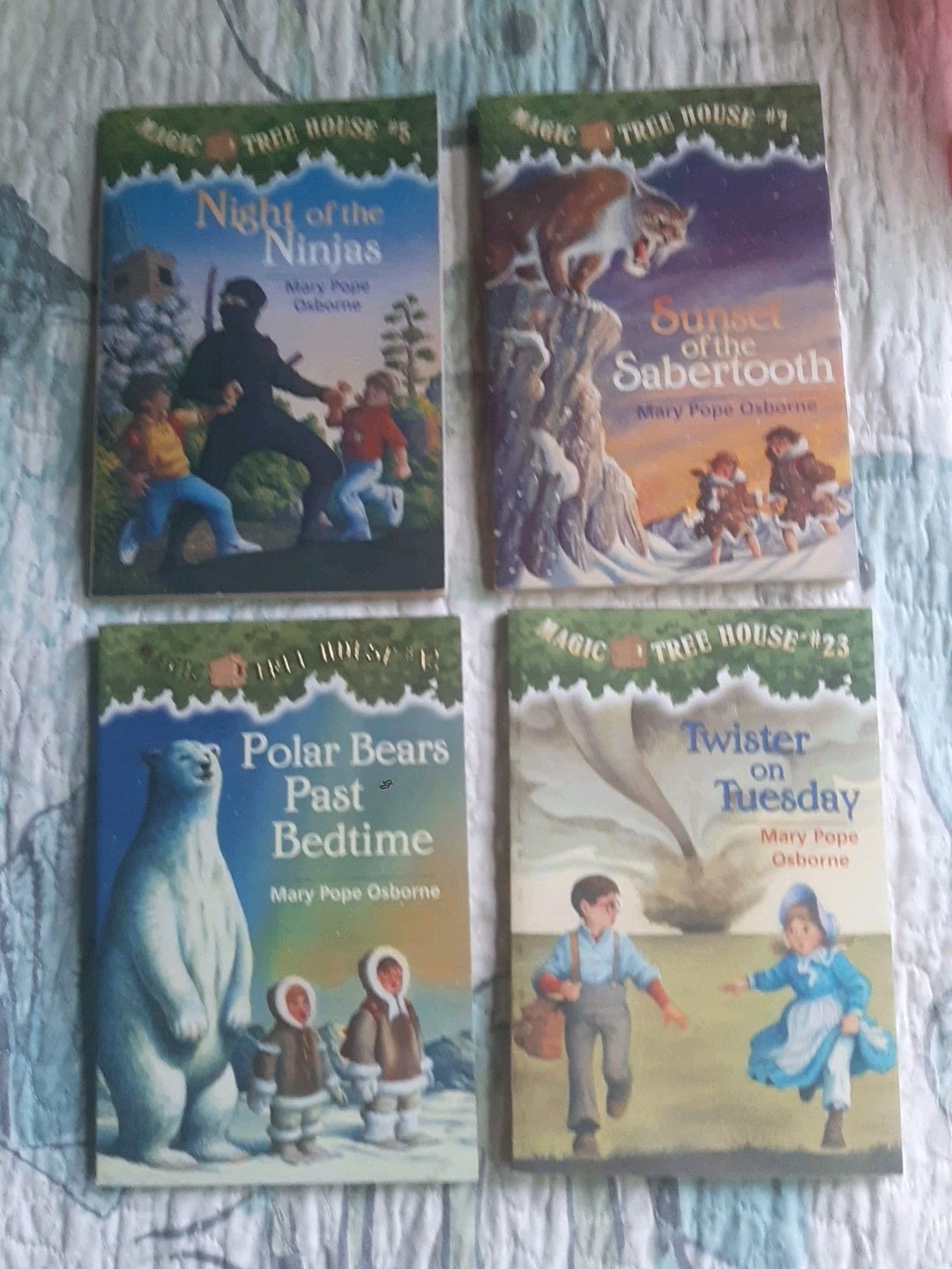 Lot of 4 Magic Tree House Book Series 5,7,12,23
