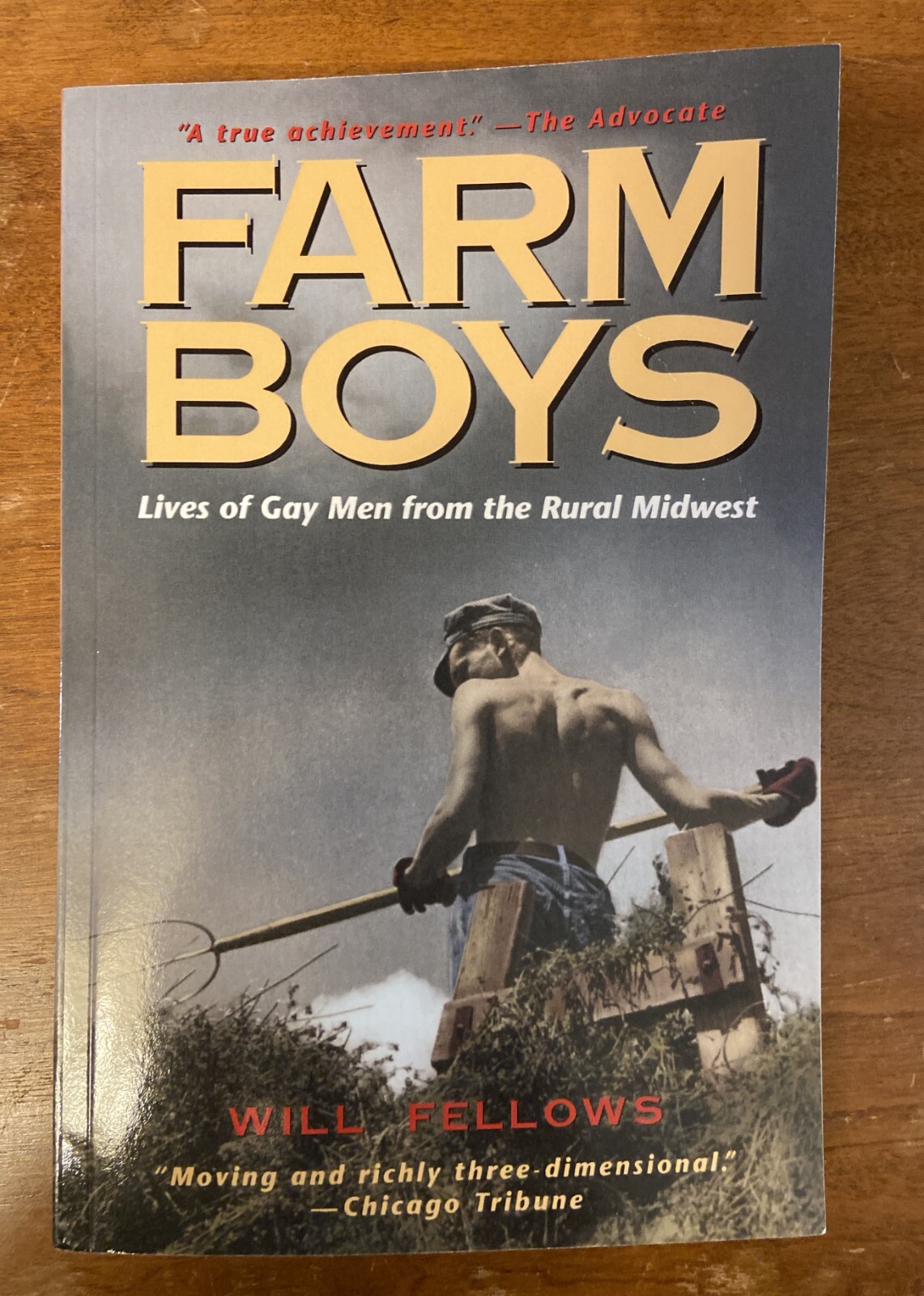 Farm Boys: Lives of Gay Men Rural Midwest SC 2001 Gay Interest