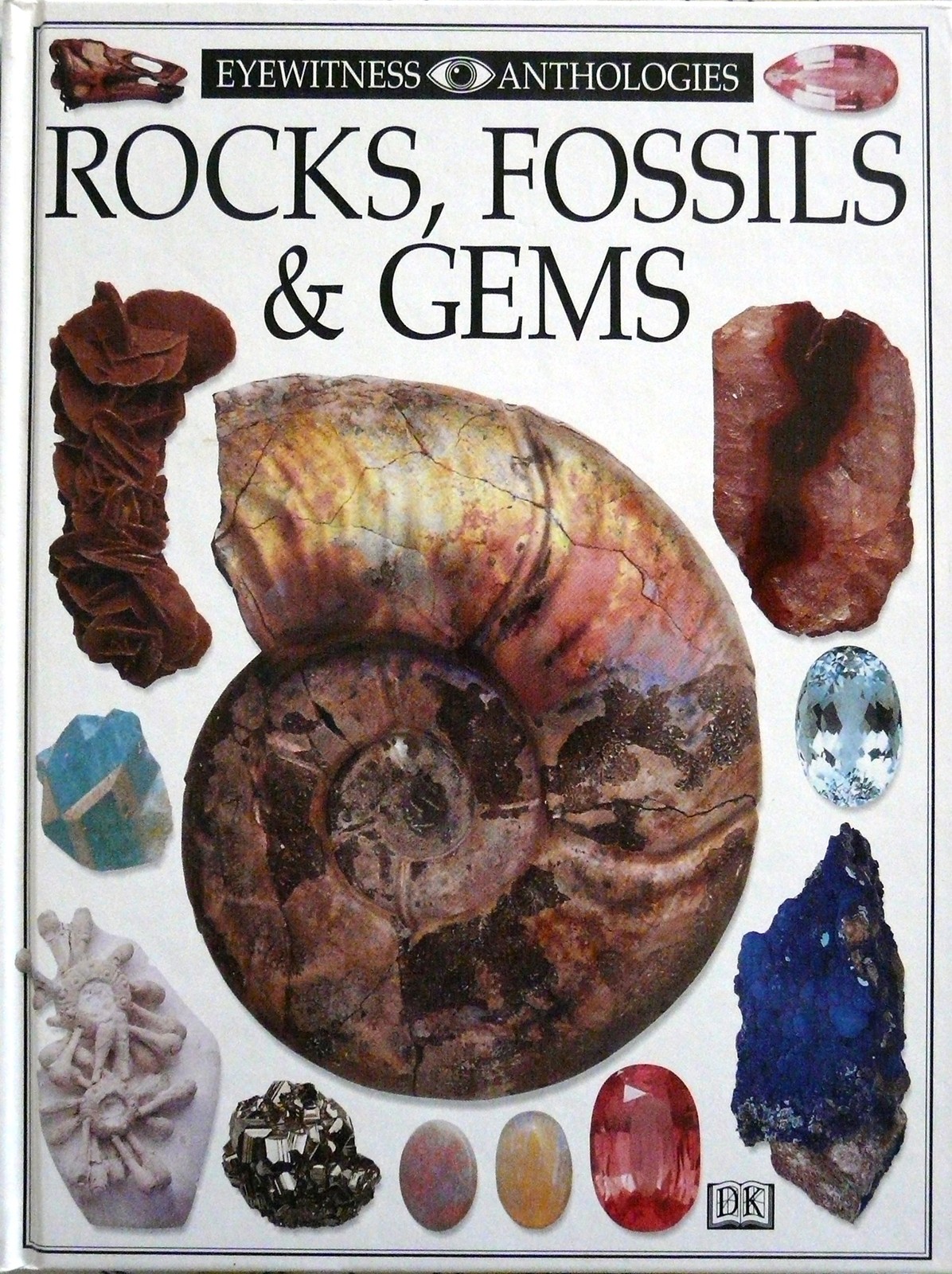 Rocks, Fossils and Gems