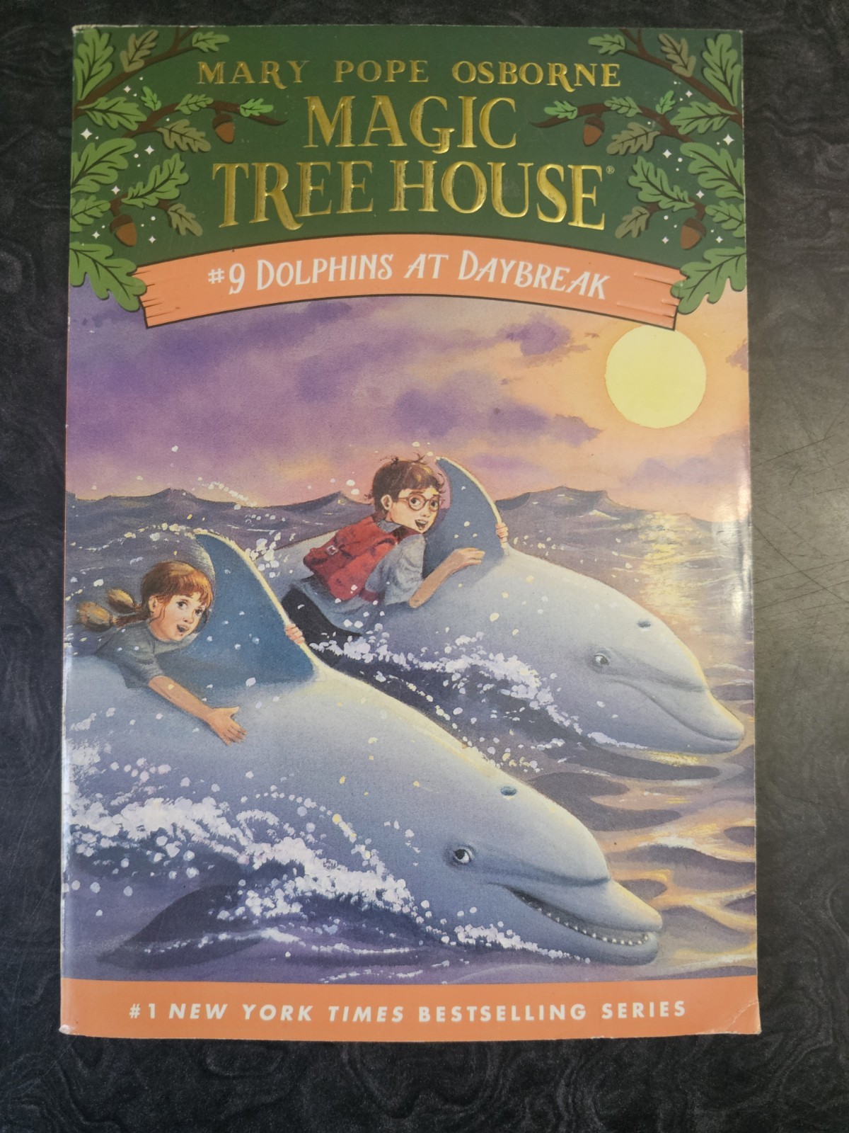 Dolphins at Daybreak by Mary Pope Osborne (1997, Trade Paperback)