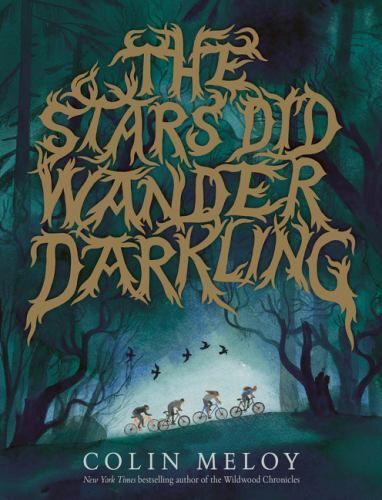 The Stars Did Wander Darkling – Hardcover By Meloy, Colin – GOOD
