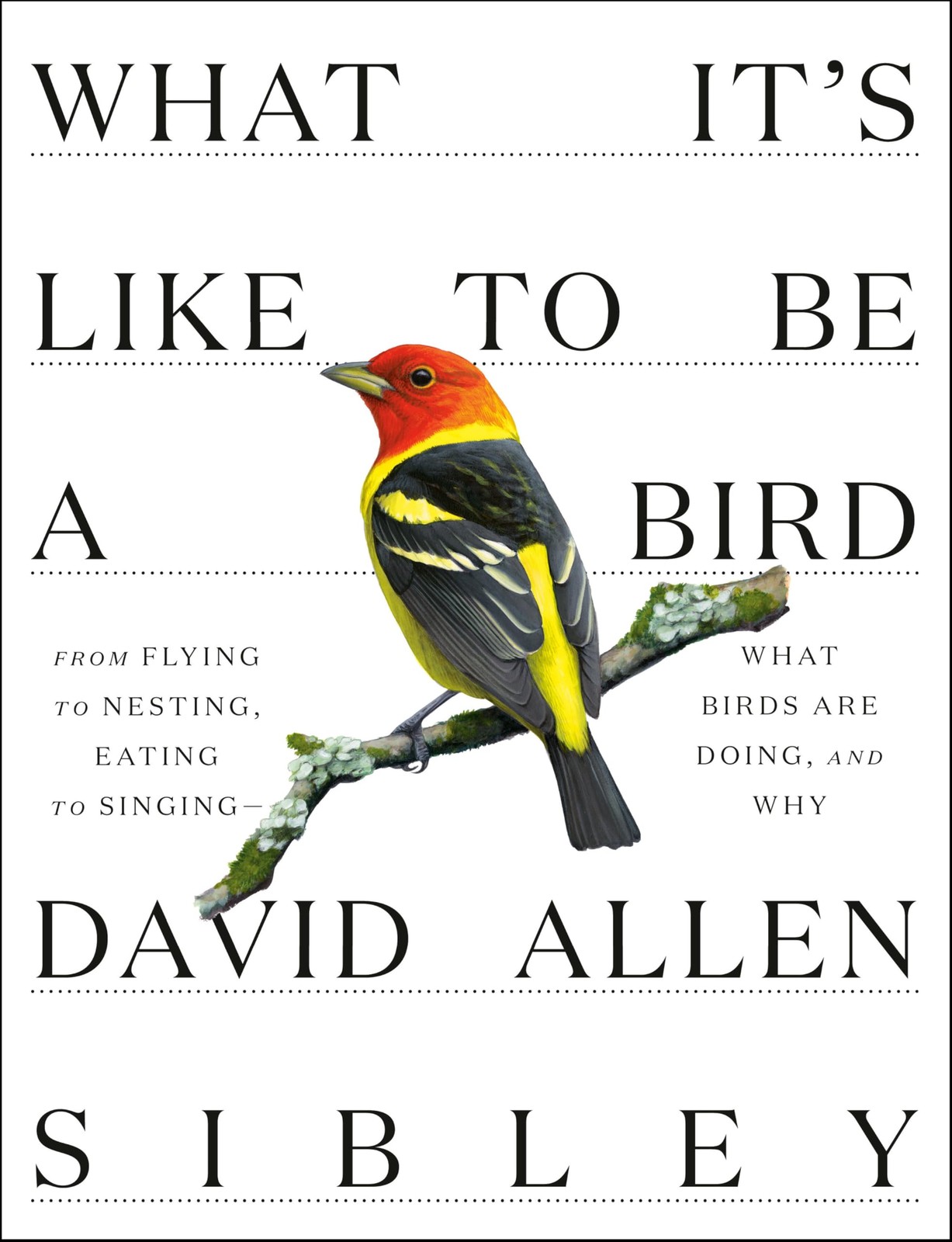 What It’s to Be a Bird From Flying to Nesting, Eating to SingingWhat Birds Ar…
