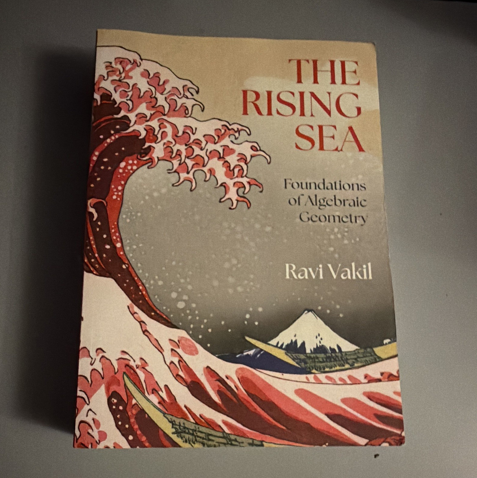 Ravi Vakil The Rising Sea Princeton University Press 2025 PB Algebraic Geometry