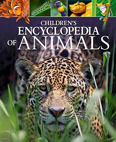 ChildrenS Encyclopedia of Animals – Hardcover – GOOD