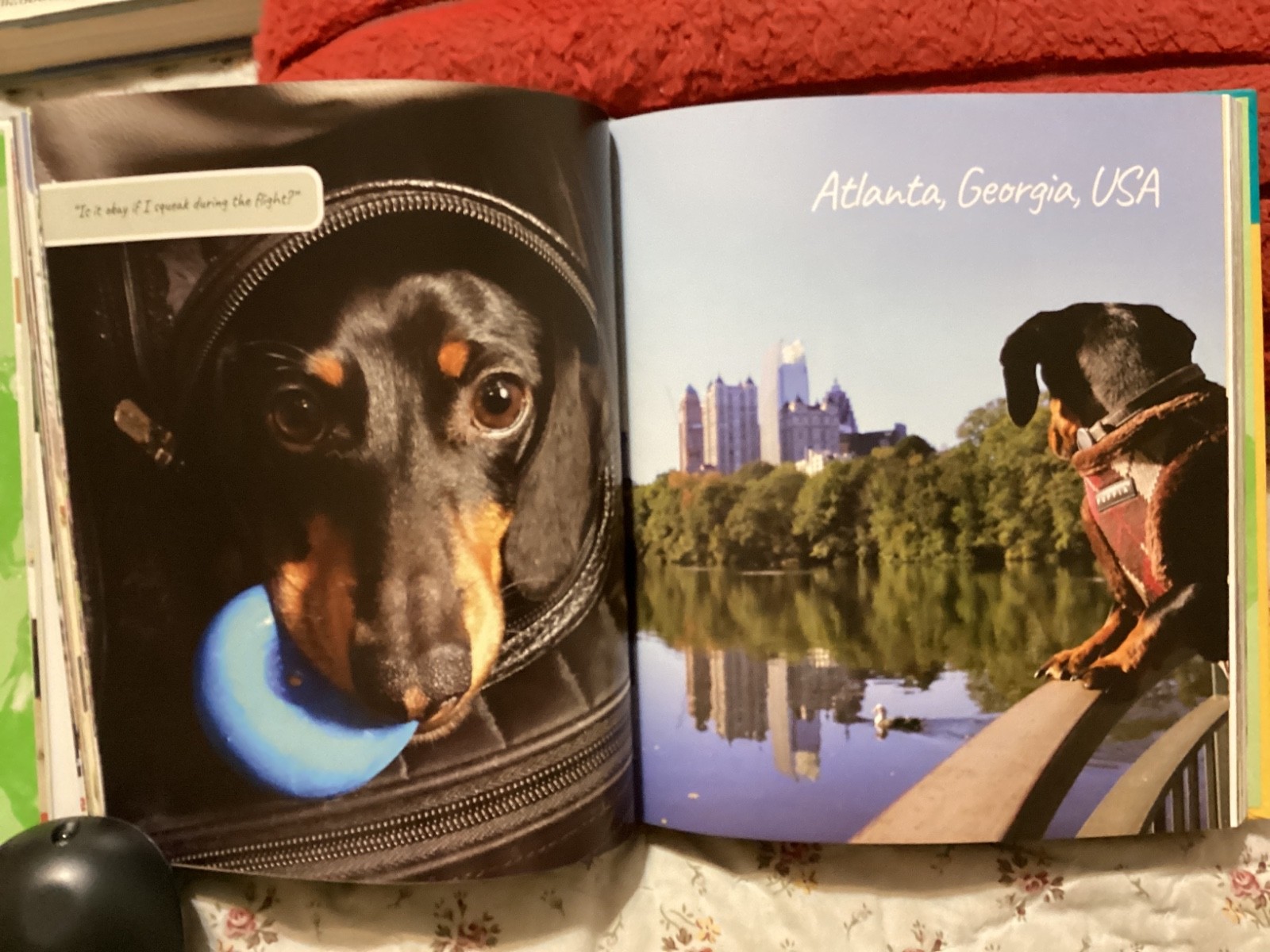 CRUSOE, THE WORDLY WIENER DOG, DACHSHUND, EXC. COND,230 PAGES/ FREE POSTAGE!!!!!