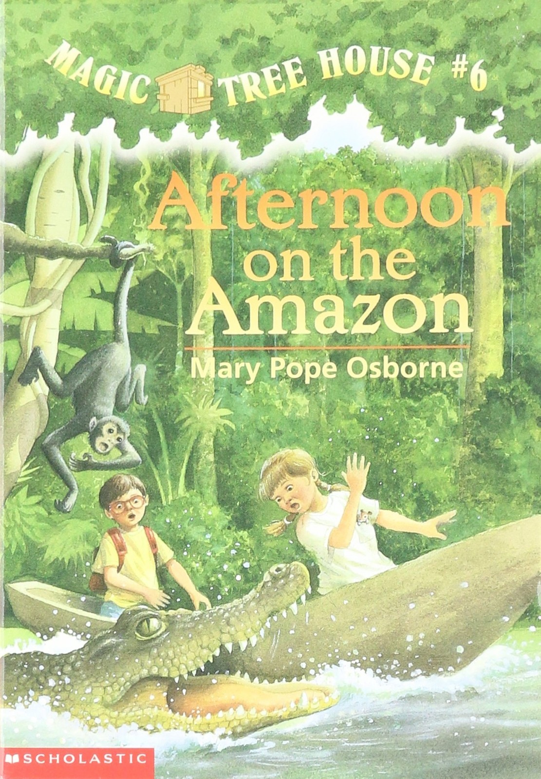 Afternoon on the Amazon – Mary Pope Osborne – Good – See condition notes