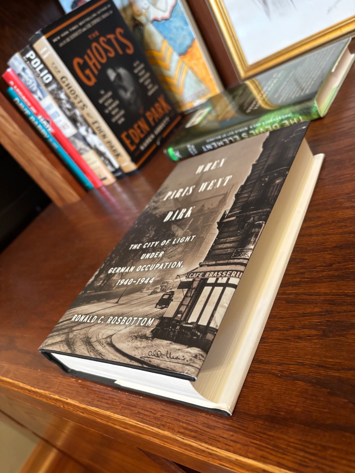 When Paris Went Dark. Ronald Rosbottom. 1st HC Ptg. LB 2014. Fine Unread
