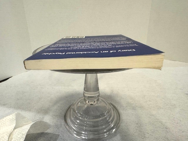 Diary of an Accidental Psychic Book Paperback 152 Pages Mark Bajerski- Free Ship