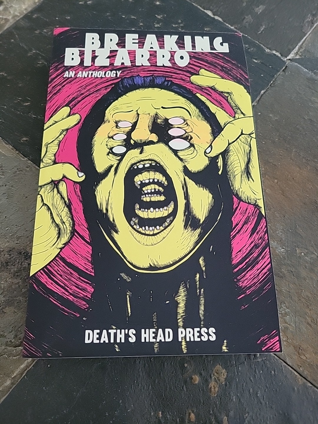 Breaking Bizarro – paperback Press, Death’s Head Press Barbee, David W Anthology